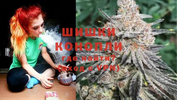 молекула духа Михайловск
