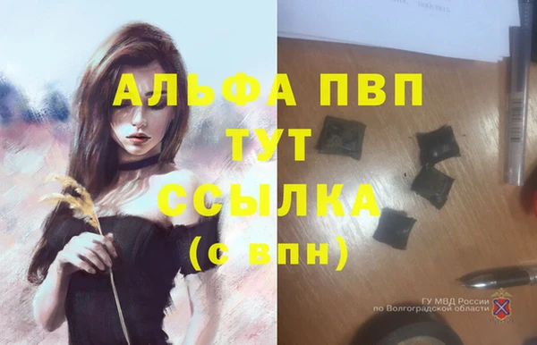 молекула духа Михайловск
