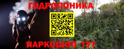 гидра Гусиноозёрск