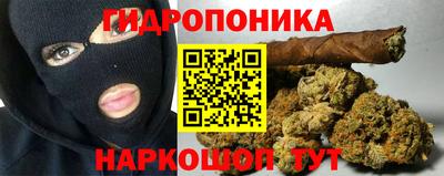 наркотики Гусев
