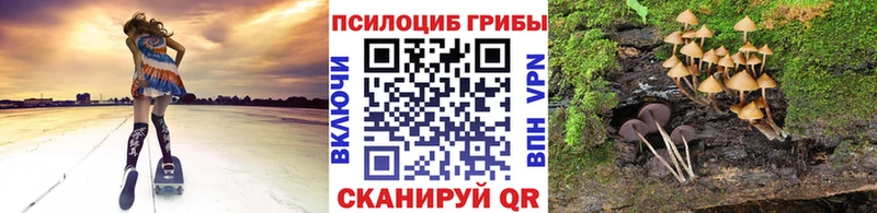 Псилоцибиновые грибы GOLDEN TEACHER  Уссурийск 