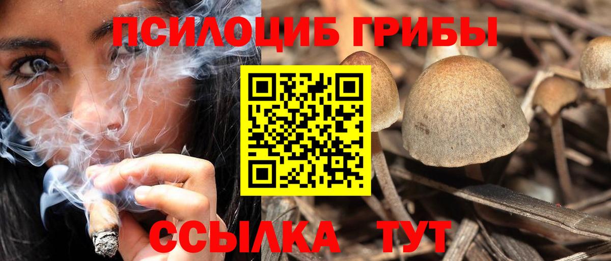 Галлюциногенные грибы Magic Shrooms  Уссурийск  Галлюциногенные грибы Cubensis 